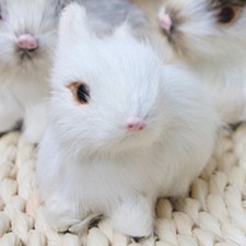 Realistico coniglietto di