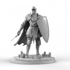 Cavaliere loslick scudo - cavaliere,