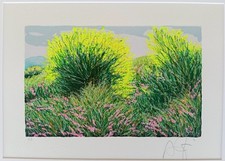 Franco azzinari serigrafia - -,
