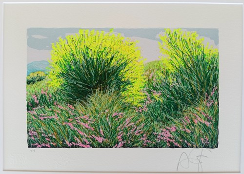 Franco azzinari serigrafia - franco,