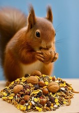 25 kg mangime per scoiattoli