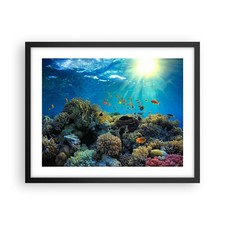 Poster 50x40cm Barriera