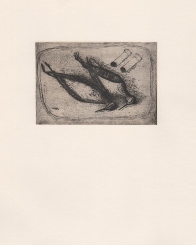 Giuseppe viviani piripiri - -,