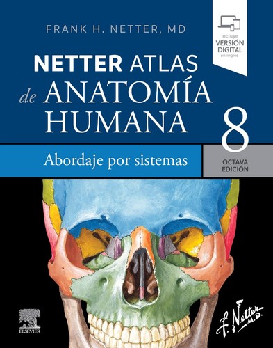 Netter atlas anatomia - de,