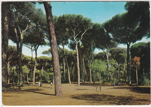 Fregene roma la pineta - pineta,