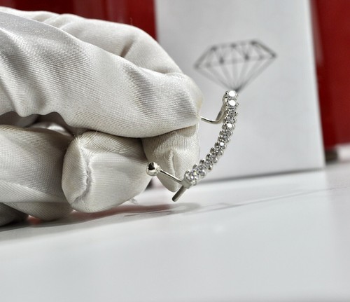 Cartier custom nose - cartier, bridge