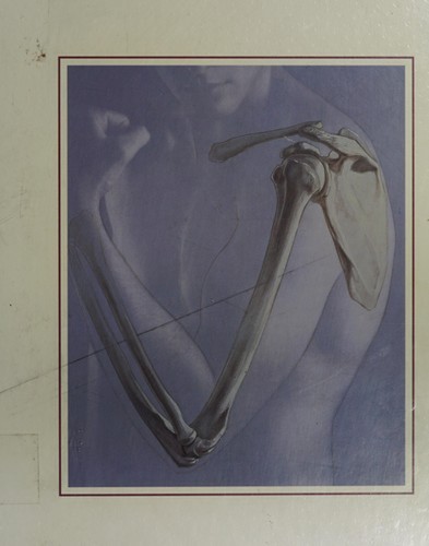 Human anatomy hardcover - human,