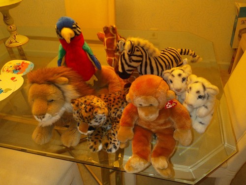 Safari giungla fauna - safari,,