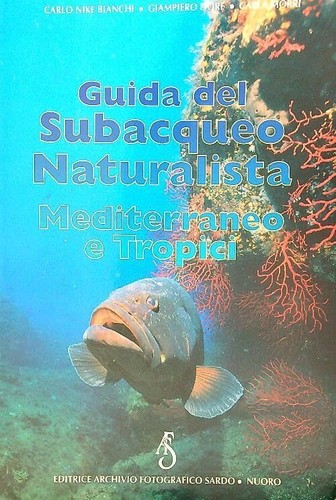 Guida del subacqueo - guida,
