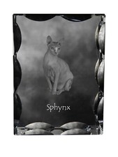 Sphynx - Cristallo Con
