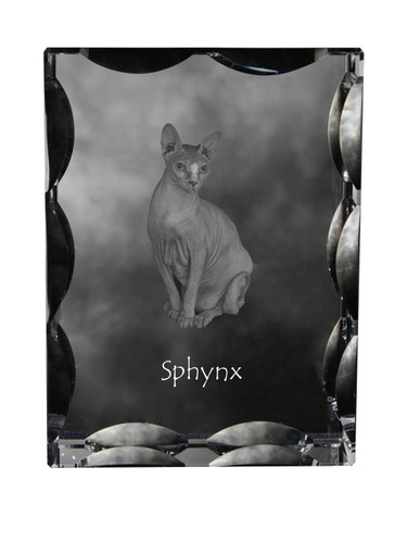 Sphynx cristallo con - cristallo,
