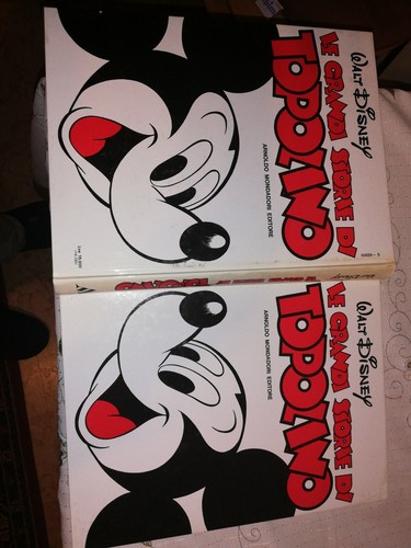 Cartonato disney grandi - disney,