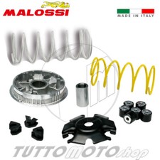 Variatore MALOSSI Multivar