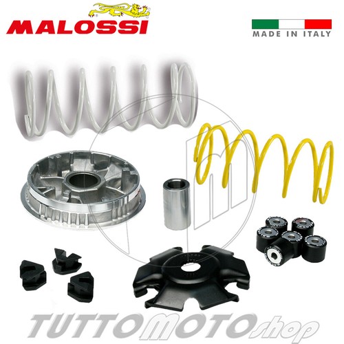 Variatore malossi multivar - malossi,