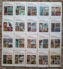 International wildlife - international,