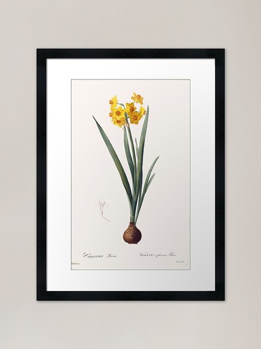 Quadro stampa tela poster - tela,