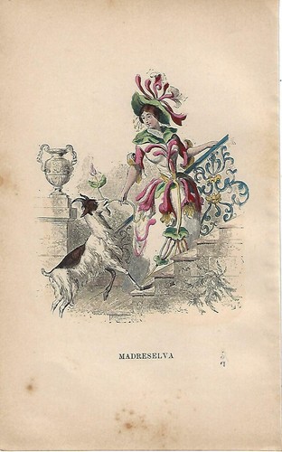 Stampa antica fiori animati - antica,