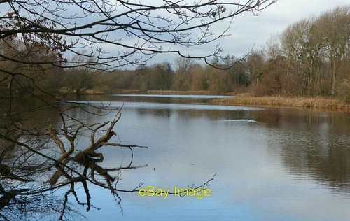 Photo 6x4 fish - photo,