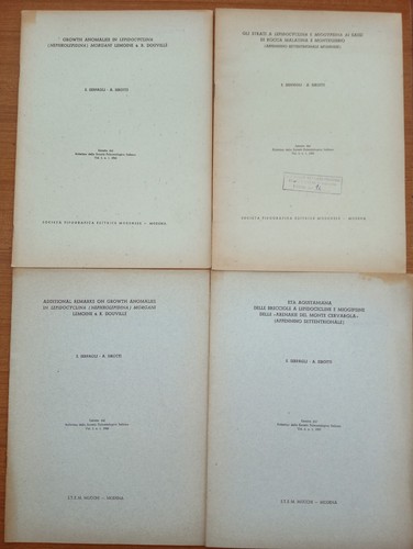 Lotto estratti su - 4,