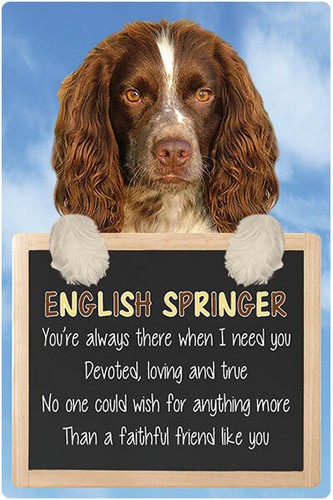 Insegna cane inglese springer - cane,