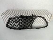 Griglia paraurti anteriore