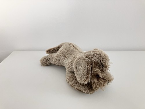 Bassotto pelo grezzo vintage - a,