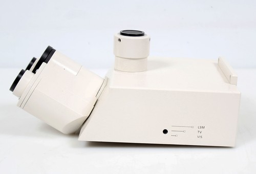 Zeiss axioplan testa - zeiss,