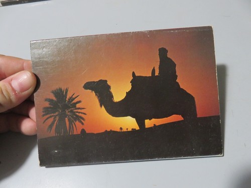Vintage souvenir photo - vintage,