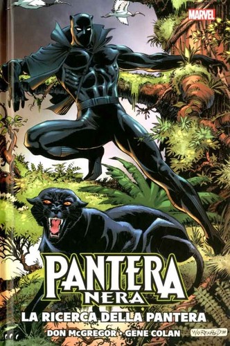 Fumetto pantera nera - fumetto,