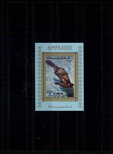Ajman blocco fauna - ajman,