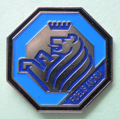 Distintivo spilla pin - distintivo,