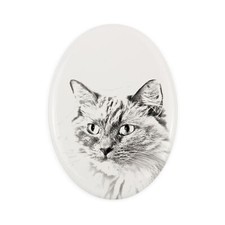 Ragdoll lapide con la foto di