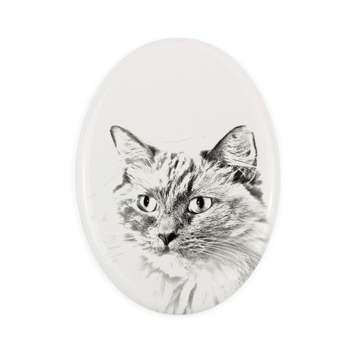 Ragdoll lapide con foto - lapide, la