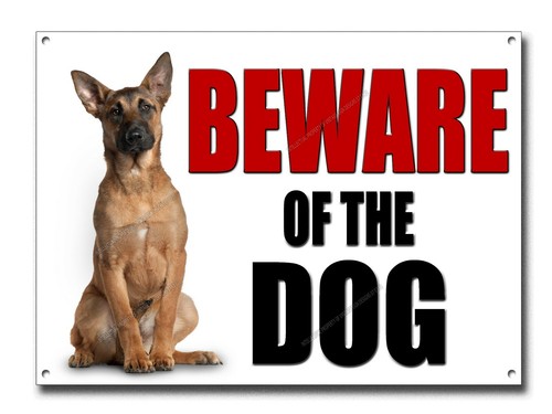 Belgian malinois attenzione - belgian, al