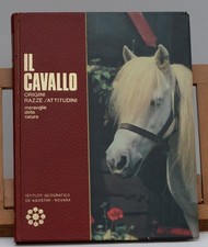 ANIMALI IL CAVALLO ORIGINI