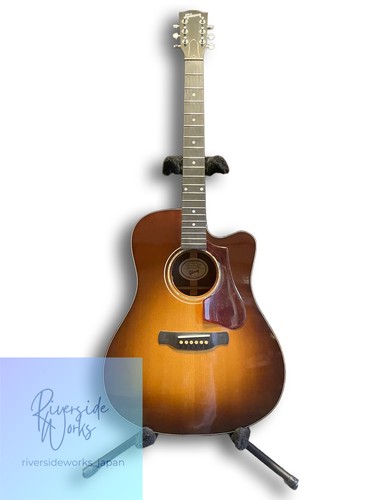 Chitarra acustica elettrica