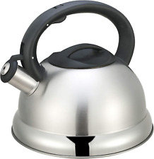 Bollitore Teiera a Fischio 3