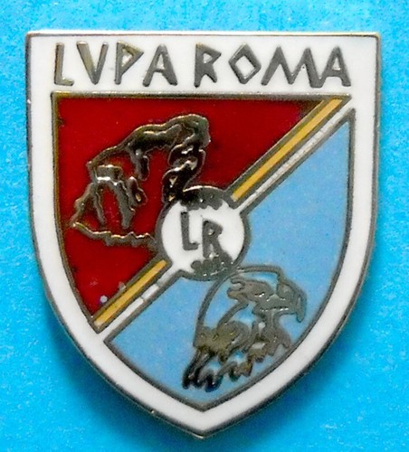 Distintivo spilla pin - distintivo,