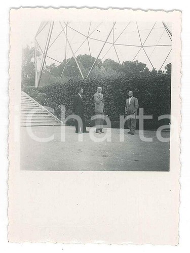 1919 roma giardino zoologico - giardino,