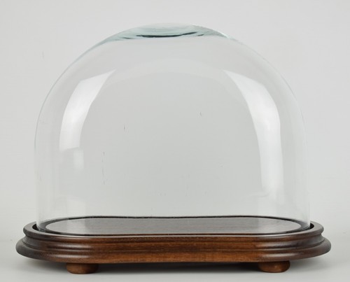 Cupola ovale media look