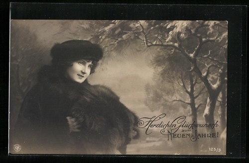 Elegante signora pelliccia - elegante, in
