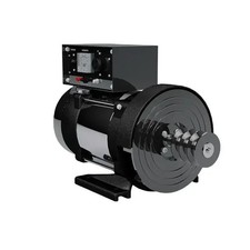 Gruppo elettrogeno diesel 220V