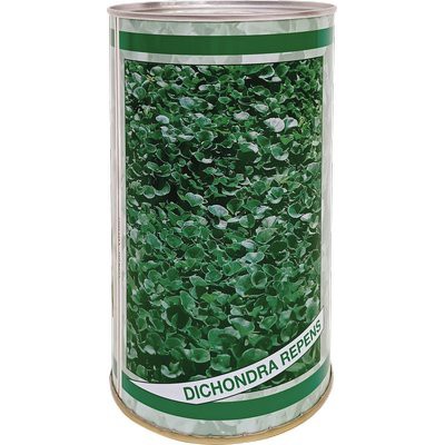 Seme prato dichondra repens - seme,