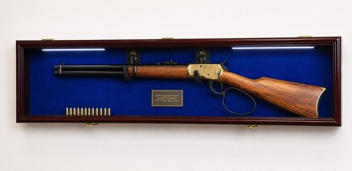 Vetrina per pistola mobile