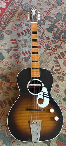 Chitarra elettrica acustica