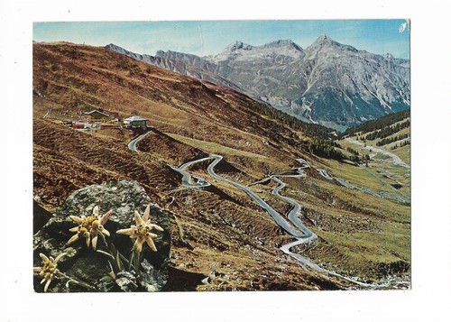 Sondrio passo dello - (526),