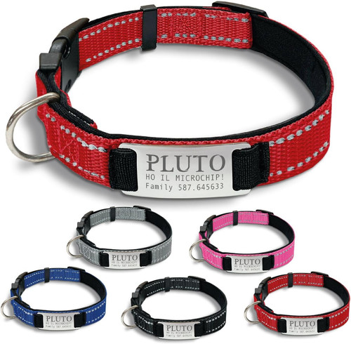 Gruppo collare cane - gruppo,