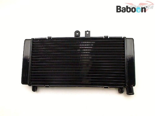 Radiatore ricambio honda - di,