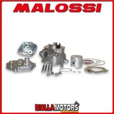3112376 GRUPPO TERMICO MALOSSI