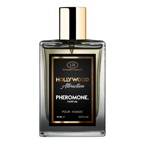 Hollywood attraction homme - hollywood,